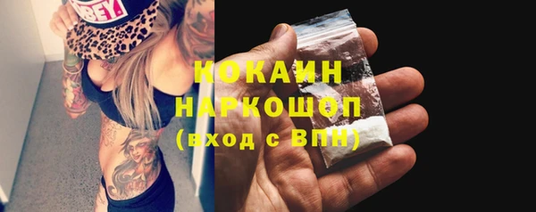 spice Алексин