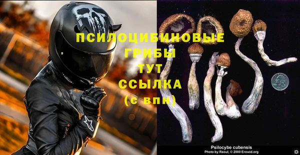 Альфа ПВП Абдулино