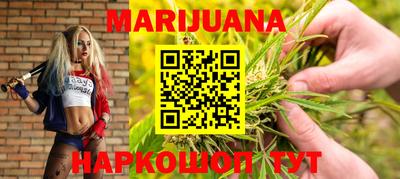сатива Кулебаки