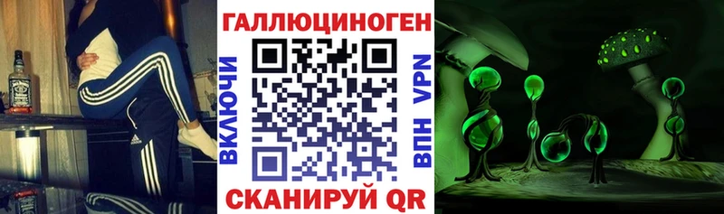 MEGA вход  Ковров  Псилоцибиновые грибы мицелий 