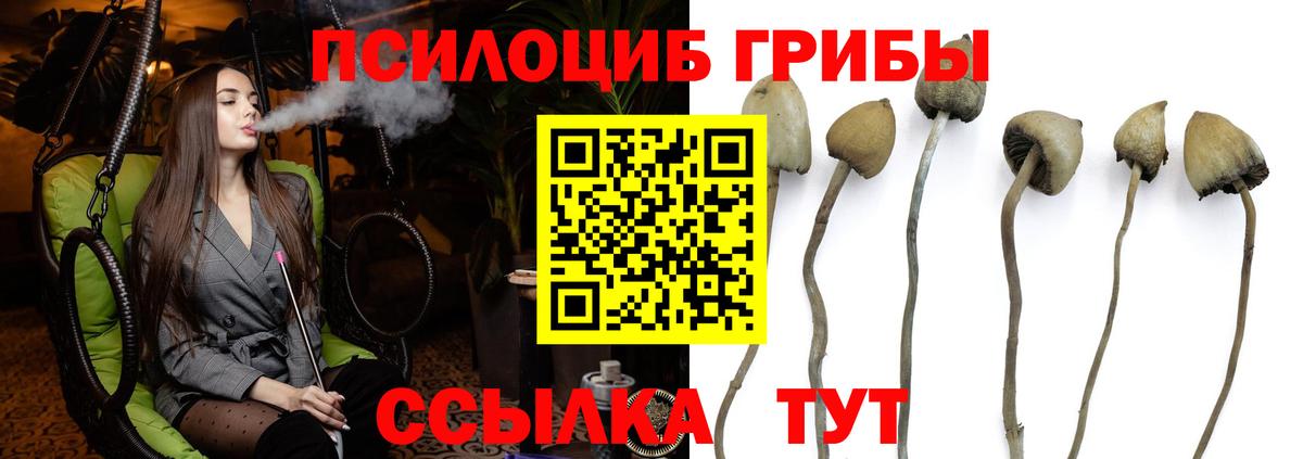 Галлюциногенные грибы мицелий Ковров