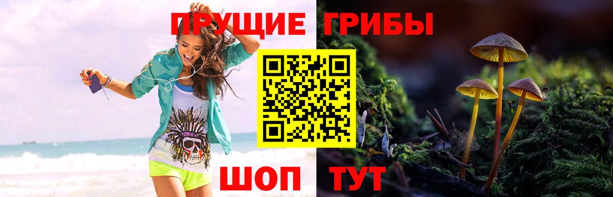 Галлюциногенные грибы Magic Shrooms  Вход с VPN  Псилоцибиновые грибы мицелий  закладки  Ковров 