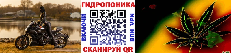 МАРИХУАНА конопля Ковров